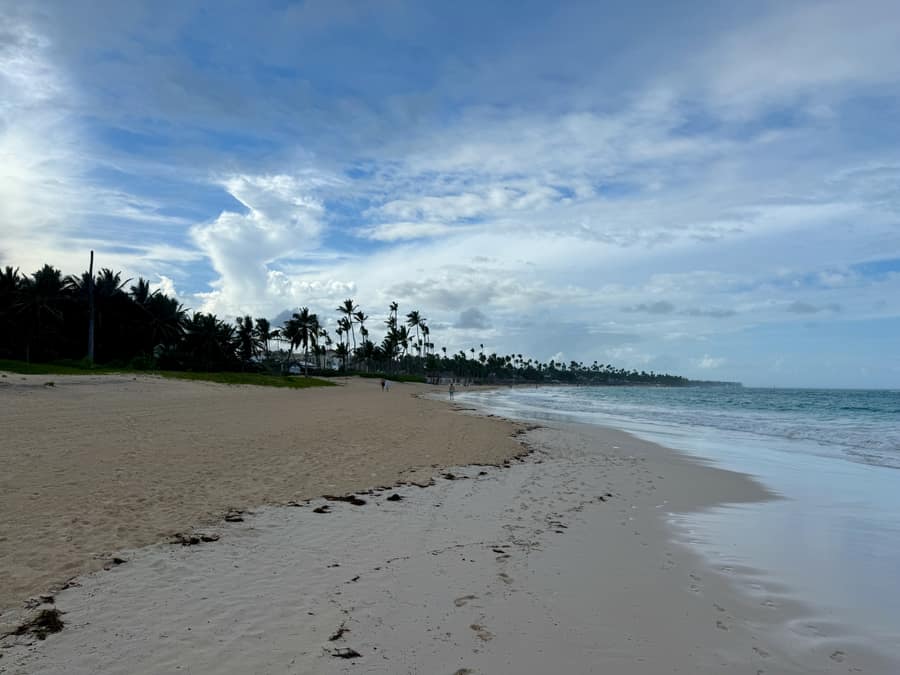 La orilla de Arena Gorda, a unos 120 m del punto 'Playa Arena Gorda' de OpenStreetMap: arena, una línea de sargazo seco sobre la orilla y la hilera de palmeras al fondo, sin gente ni negocios identificables. El autor la tituló 'Bávaro Beach': la ubicación sale de las coordenadas de la foto (geosearch del 25/09/2026). De repuesto, del mismo autor y lugar: File:2024_-_Bávaro_Beach_-_26.jpg.